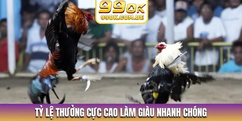 Tỷ lệ thưởng cực cao làm giàu nhanh chóng